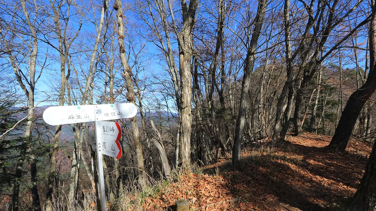 権現山分岐