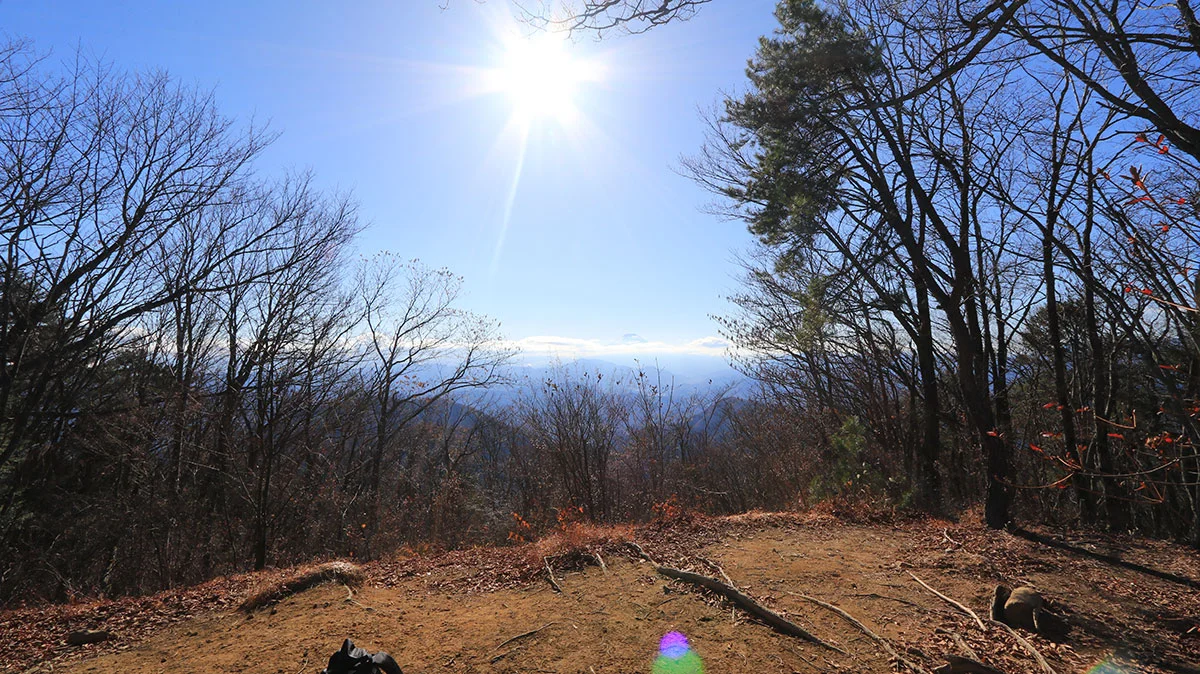 権現山からの富士山