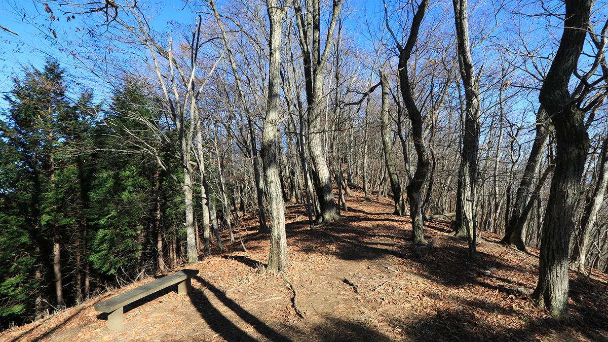 尾根上の登山道
