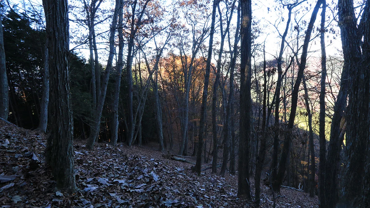 権現山から初戸への下り道