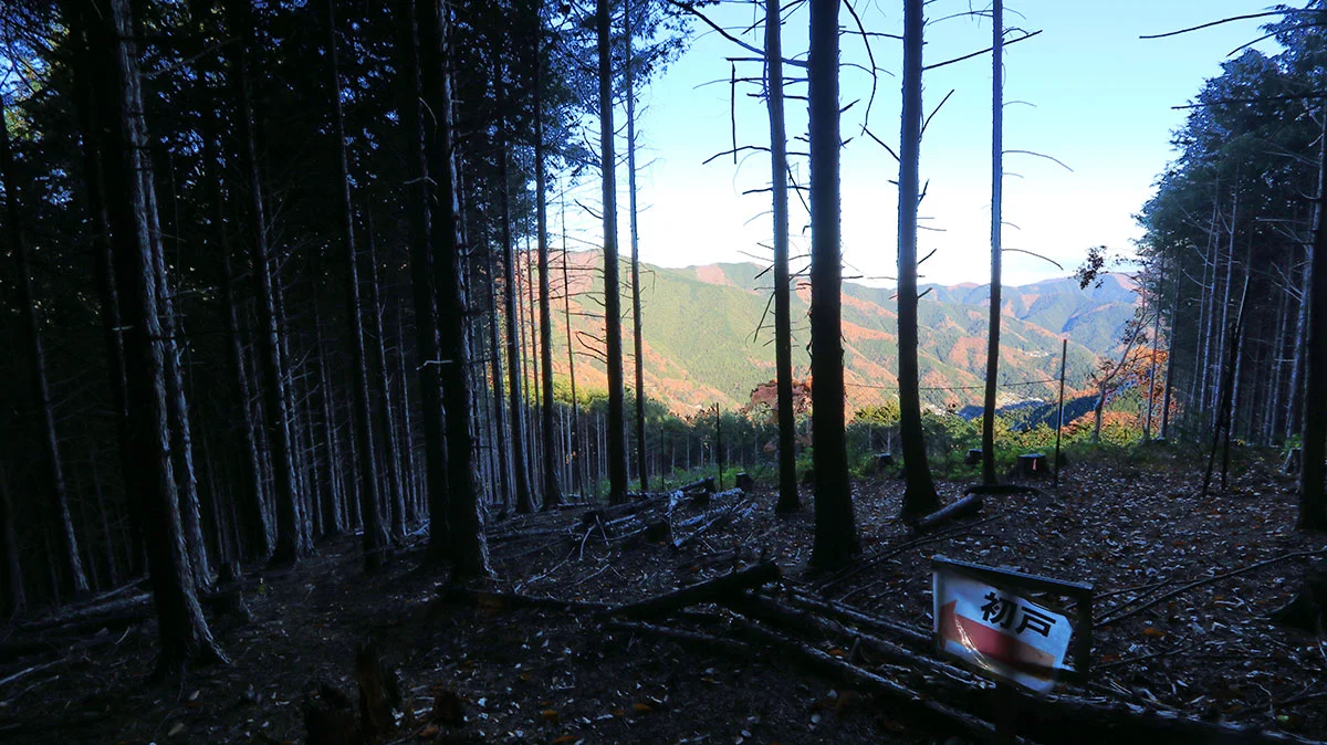 玄房尾根の中間地点