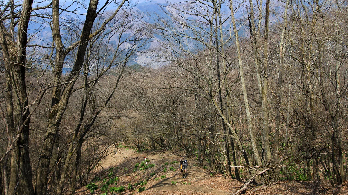 上から見た急登の御前山登山道