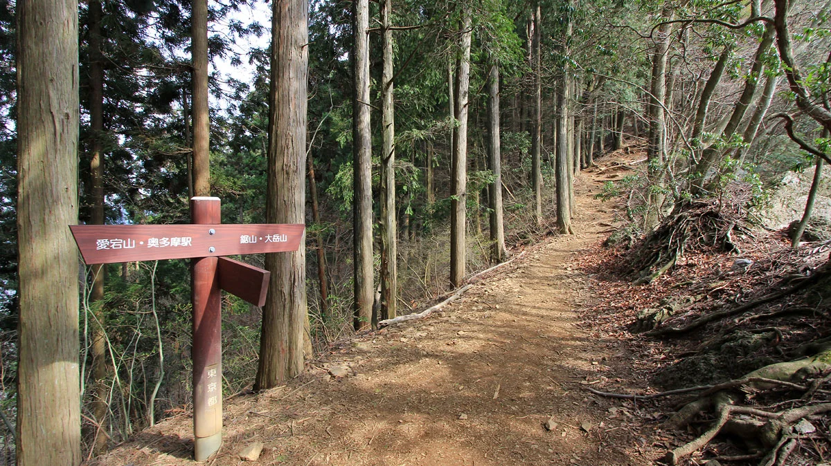 鋸尾根に合流地点
