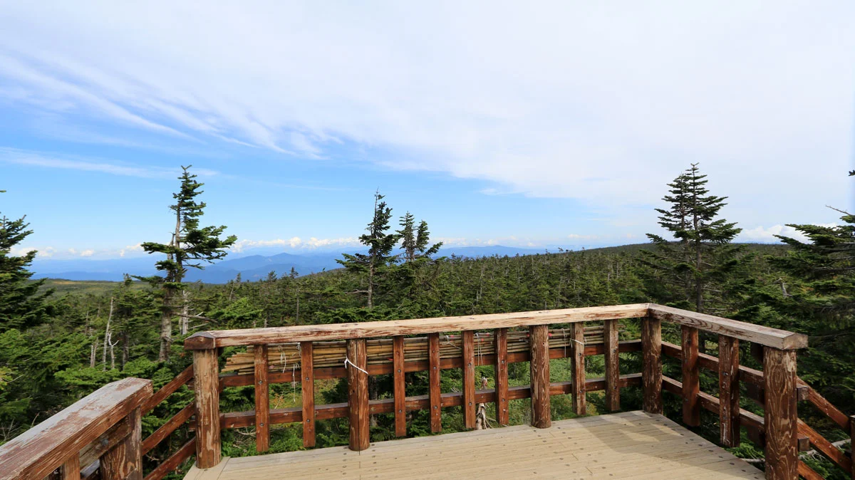 展望台からの眺望