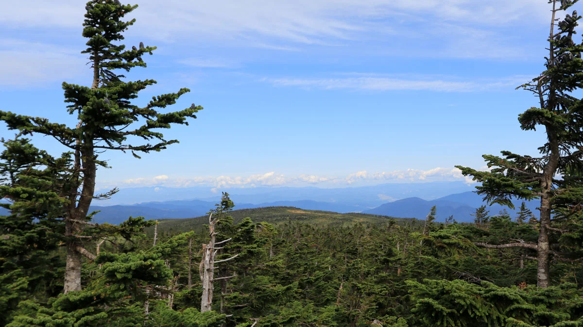 展望台からの眺望