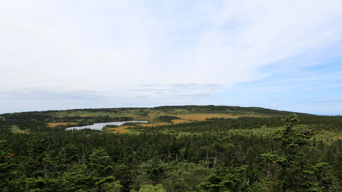 源太森からの眺望