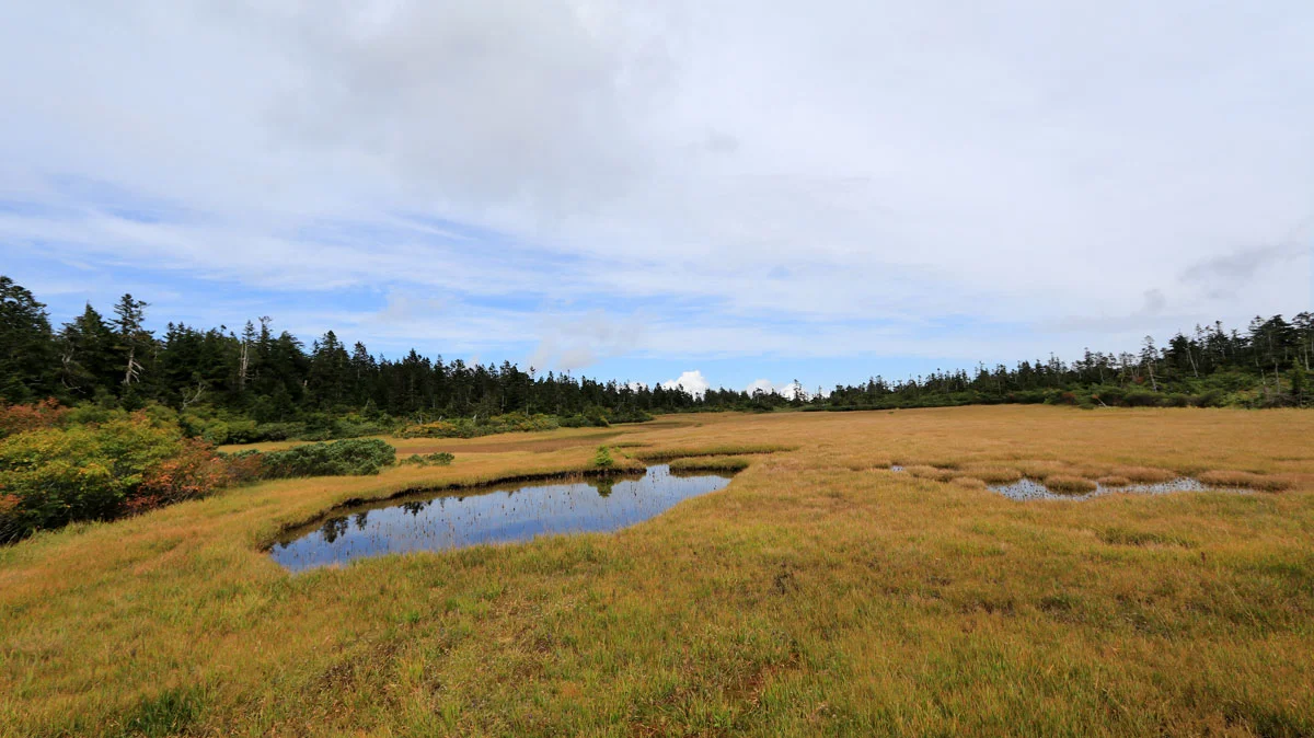 黒谷地湿原