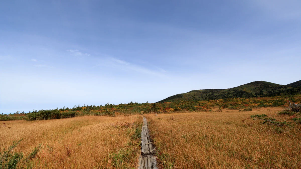 遠くに八甲田ロープウェイの山頂公園駅。