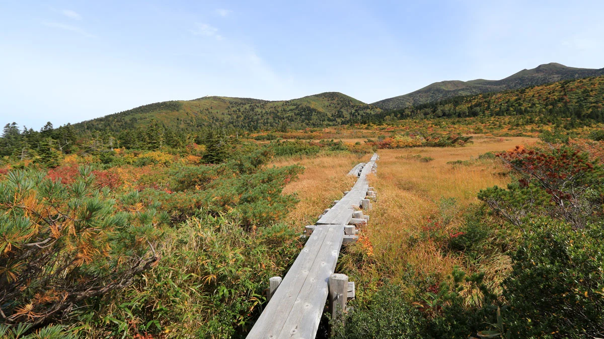 紅葉に彩られた毛無岱