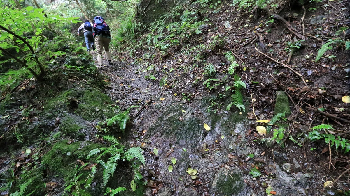 岩がむき出しの登山道