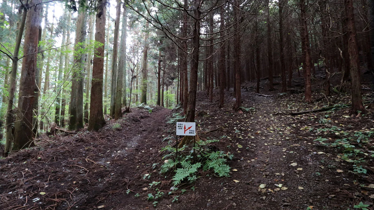 天狗岳・破風山と大前山・破風山の分岐地点