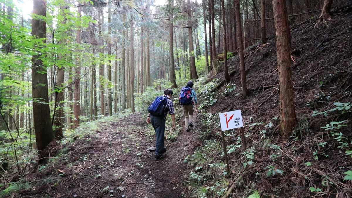 直進は「×」印の標識