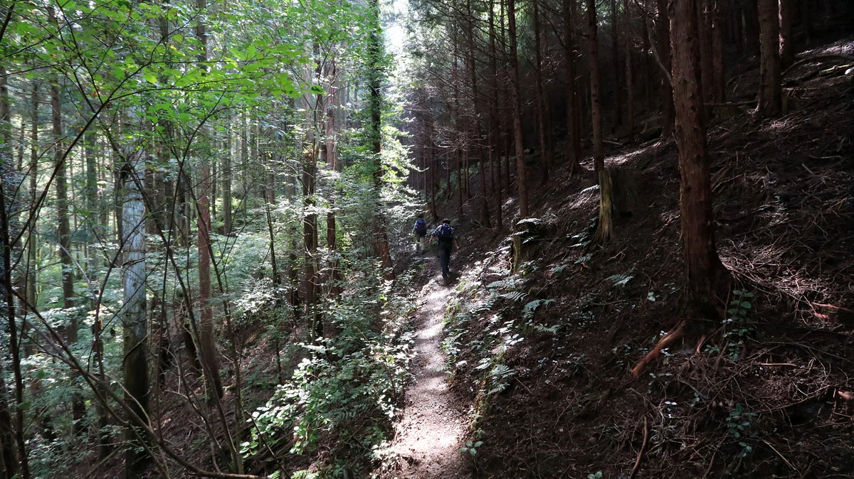 細い登山道