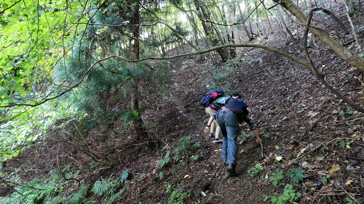 沢から尾根にでる上り道