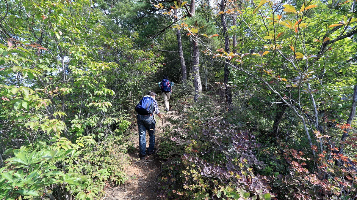 大前手前の登山道