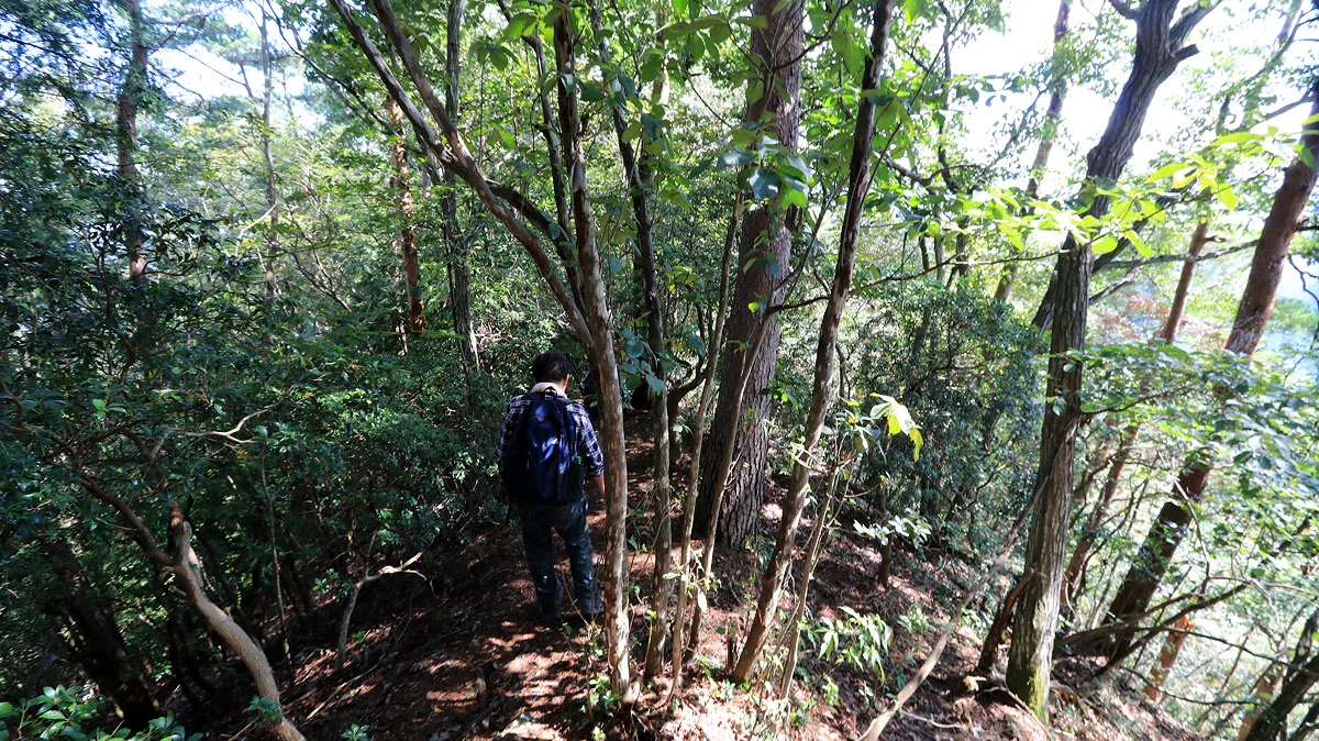 ヤセ尾根の登山道