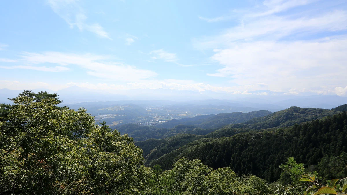 武蔵展望台の展望