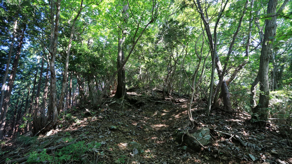 破風山山頂直下の上り
