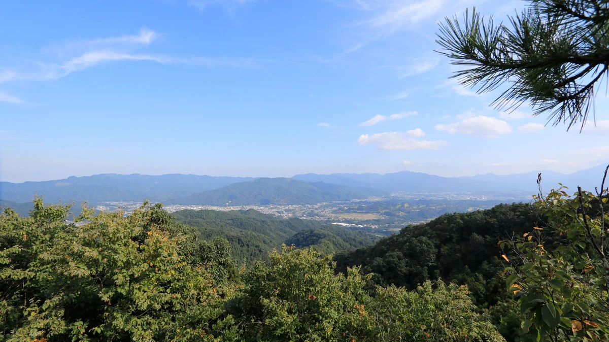 秩父市街地の展望