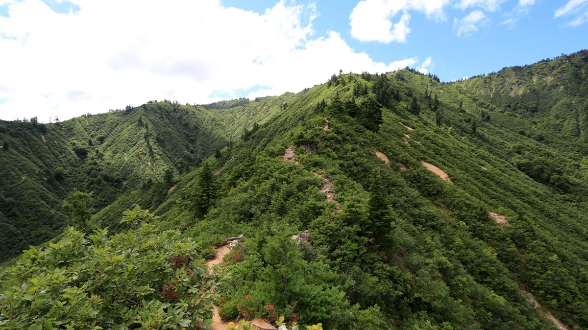 下台倉山に続く道