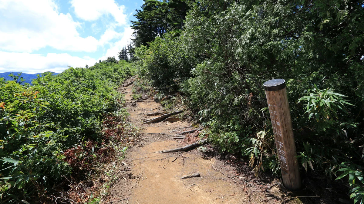下台倉山に到着