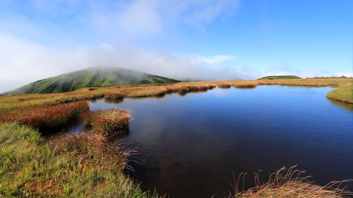 池ノ岳の池塘と平ヶ岳
