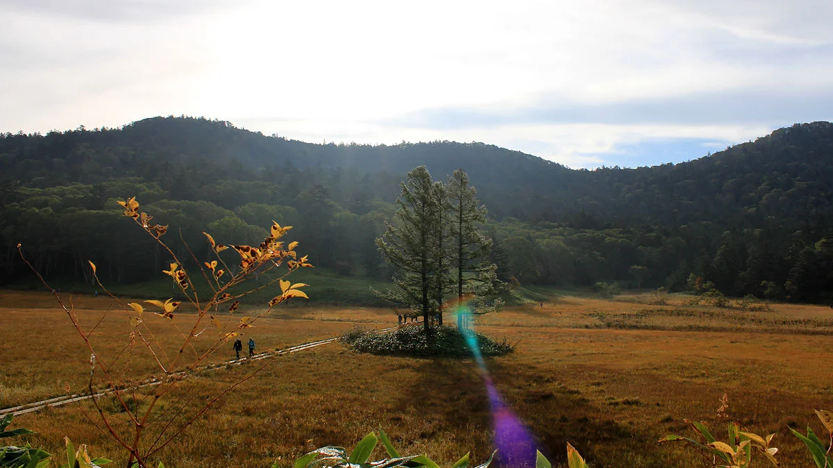 大江湿原と朝日