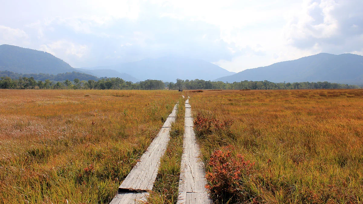 明日登山予定の至仏山