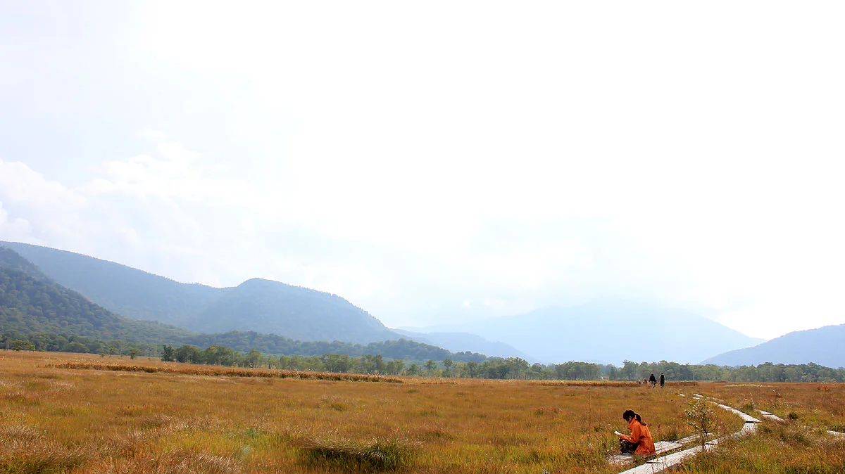 尾瀬ヶ原で読書をする人