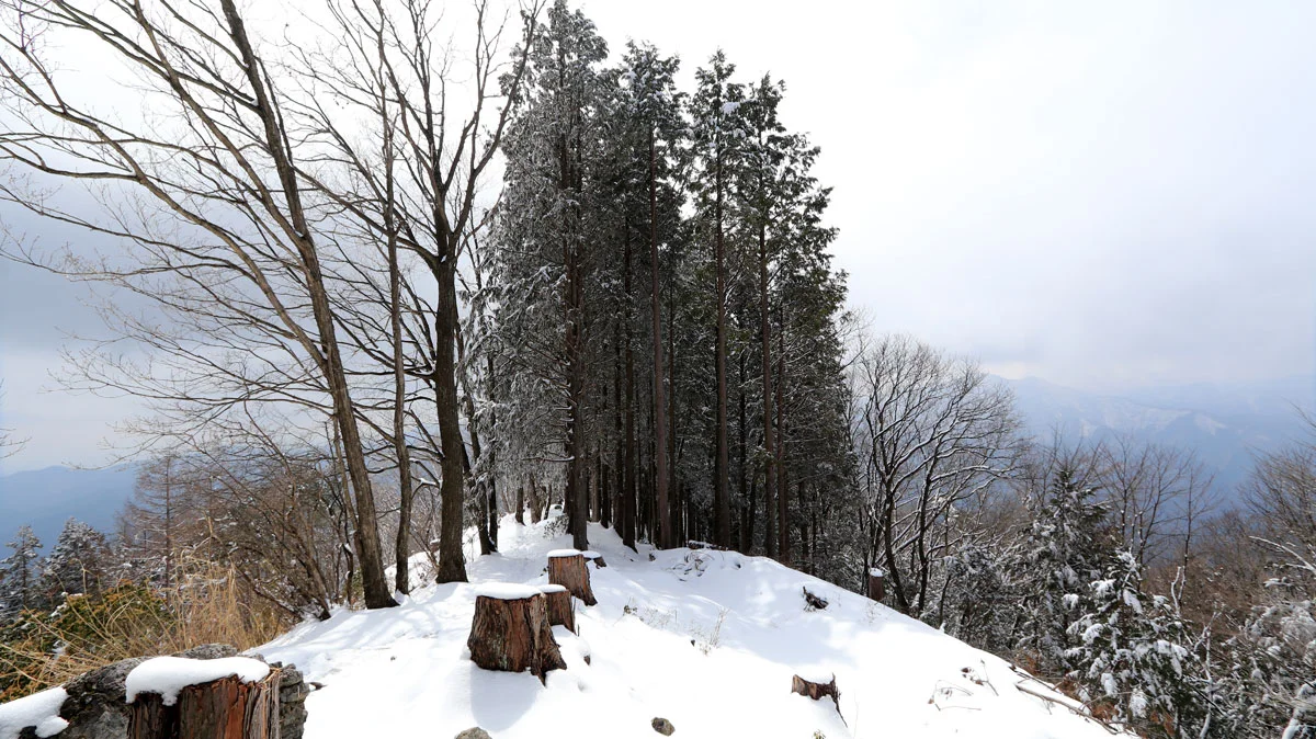 右奥に奥多摩三山の御前山