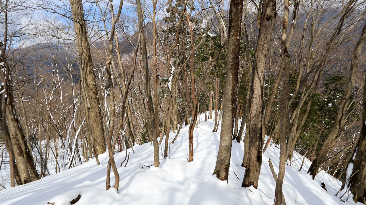 トレースのない大ダワへの道