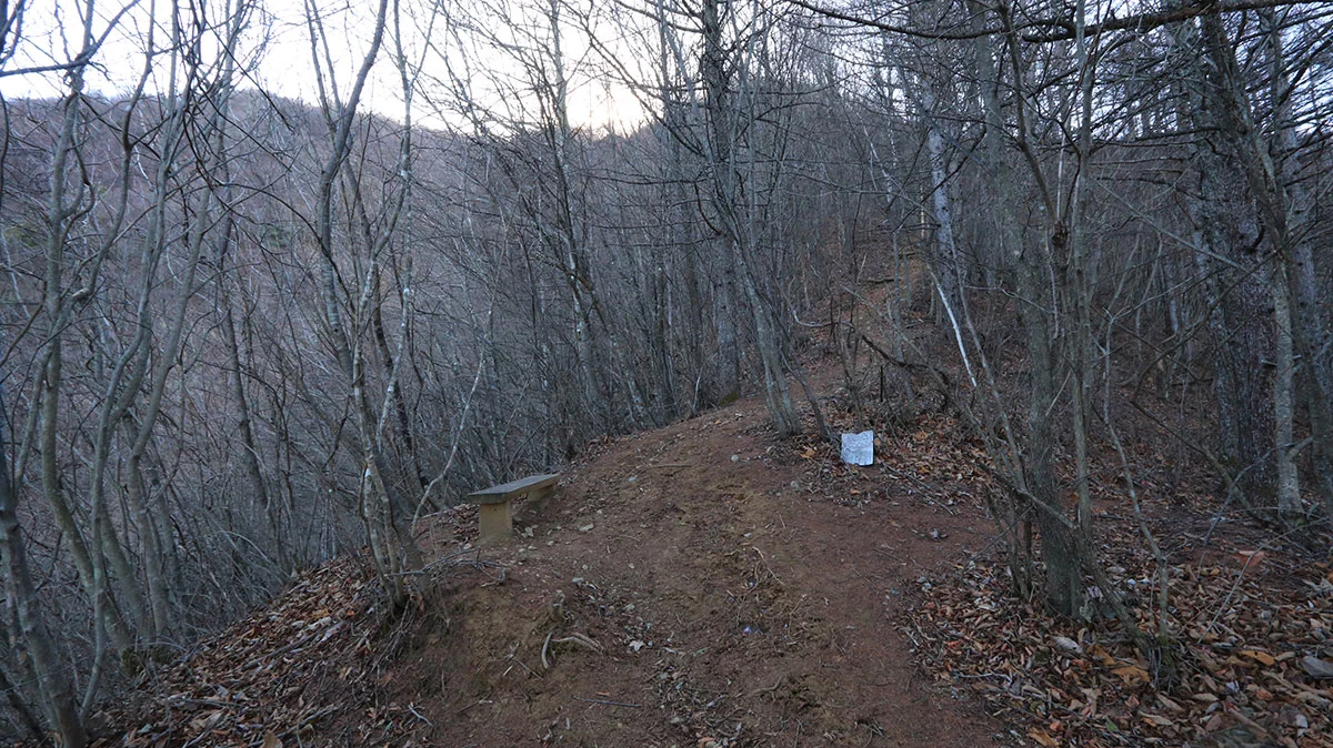 尾根道を登り切った場所