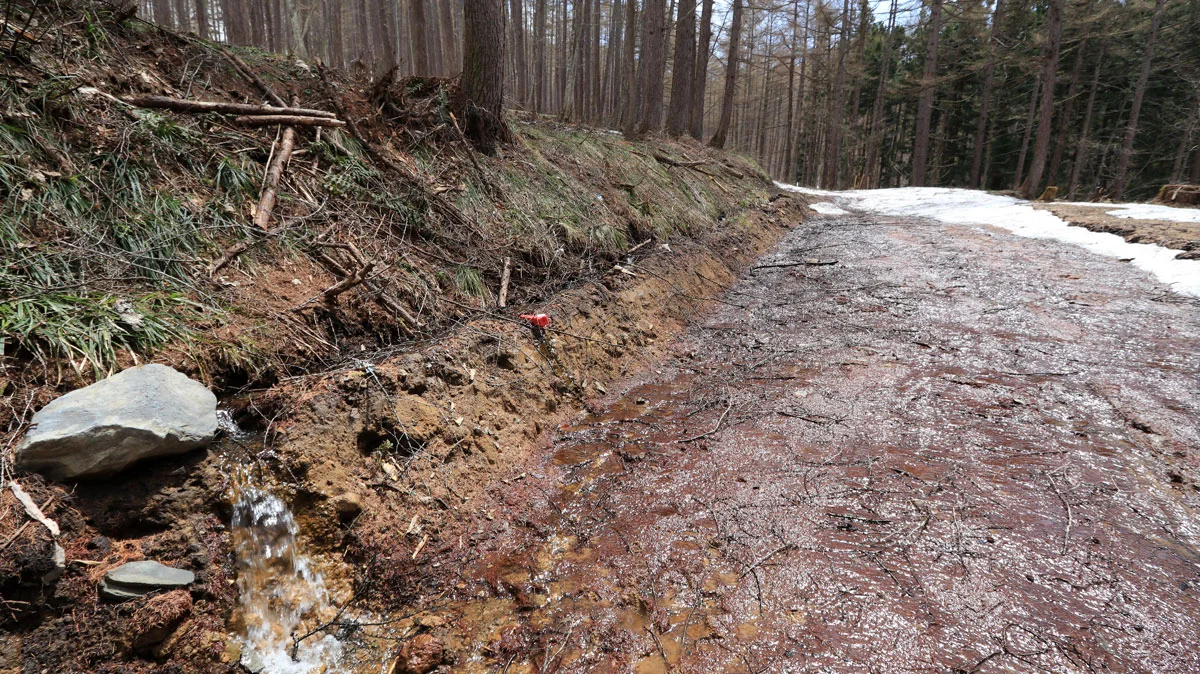 雪解け水が流れ落ちる林道