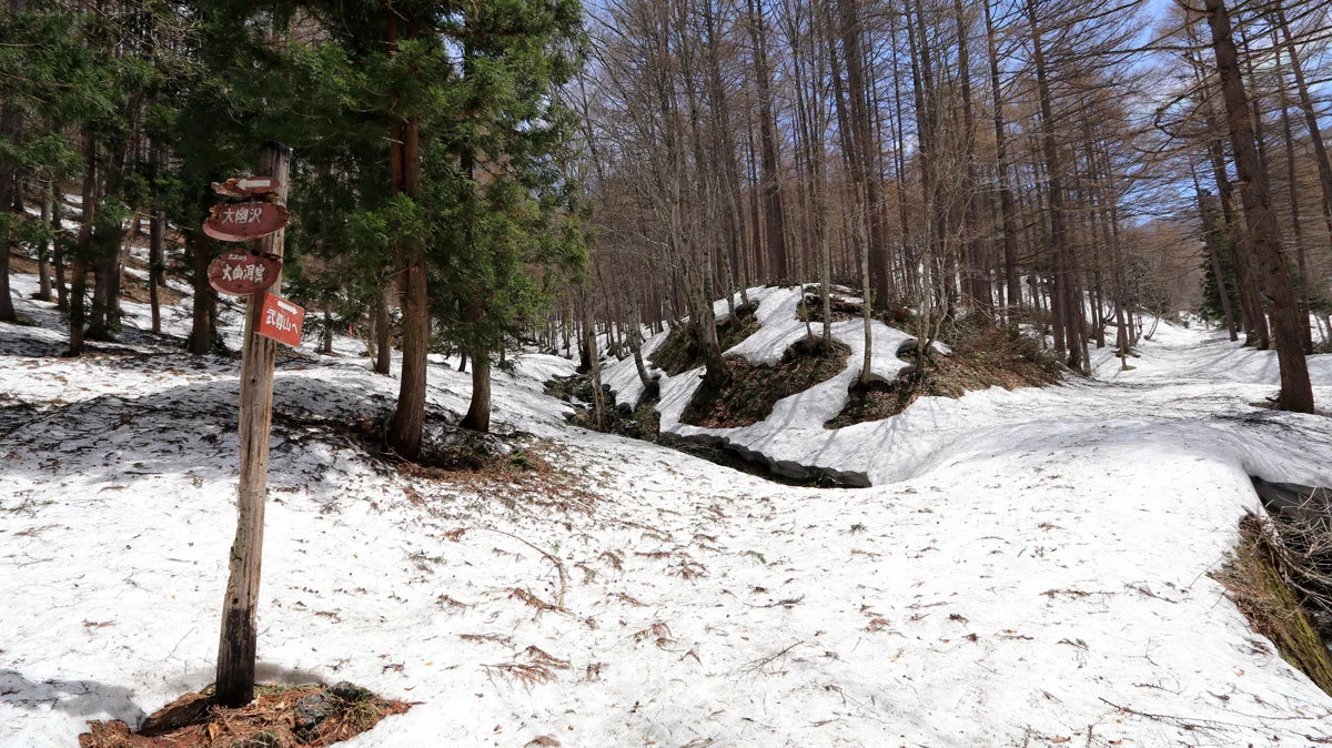 大幽洞窟との分岐
