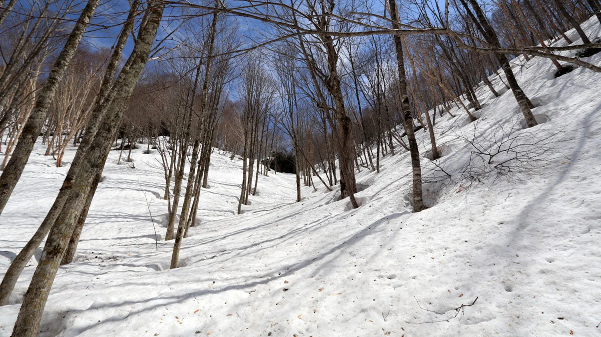沢から尾根に上がる上り道