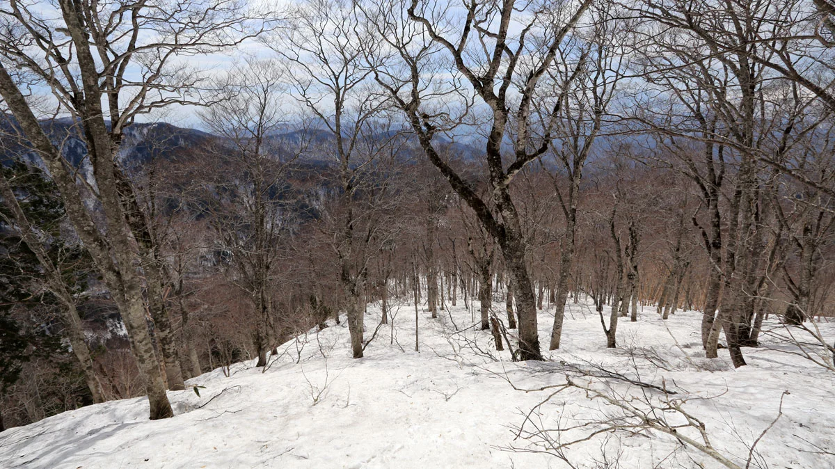 傾斜のある登山道