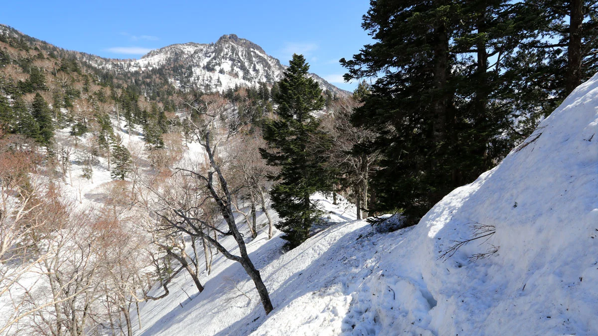 手小屋沢避難小屋付近の登山道