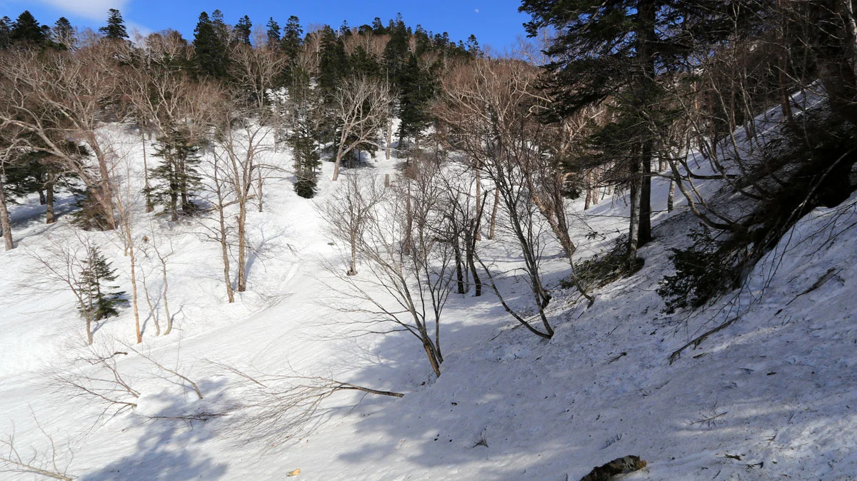 手小屋沢避難小屋があるはずの窪み