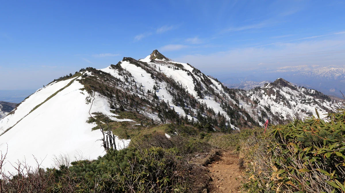 雪のない登山道