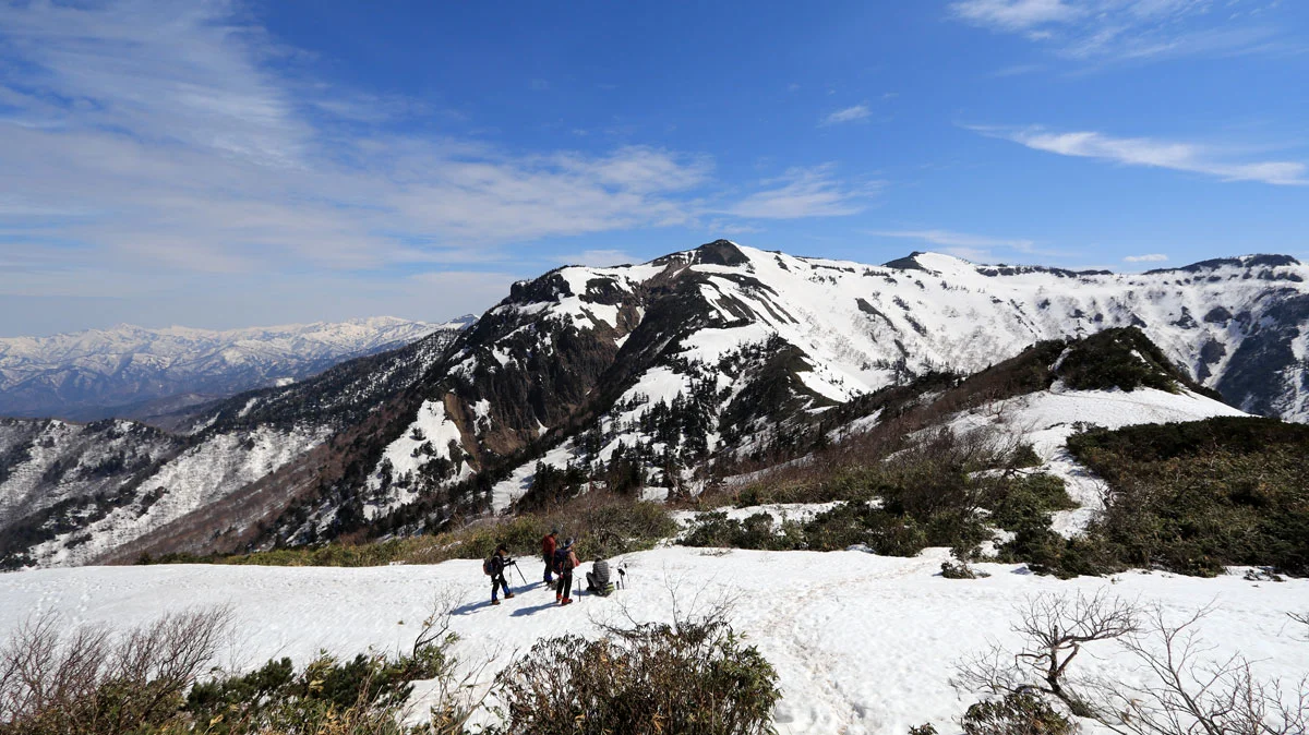 分岐地点を上から撮影