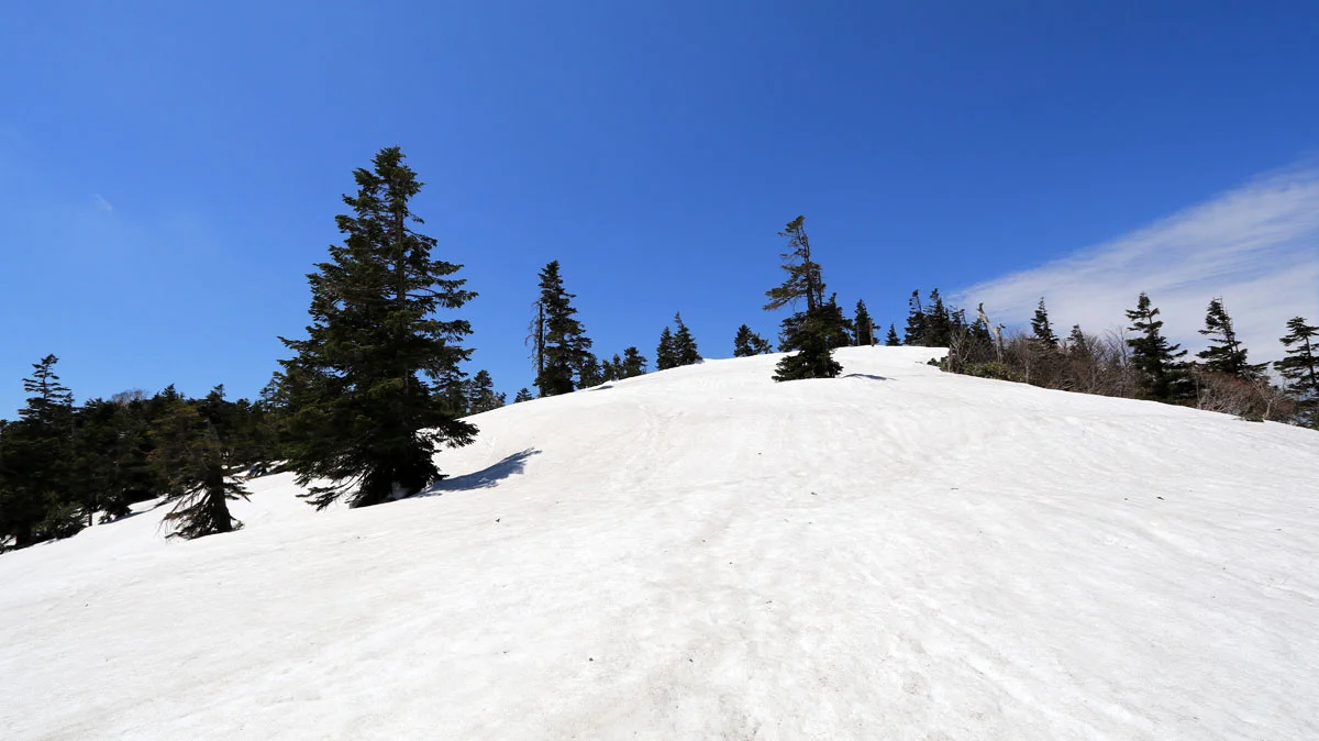 偽ピークへの上り道