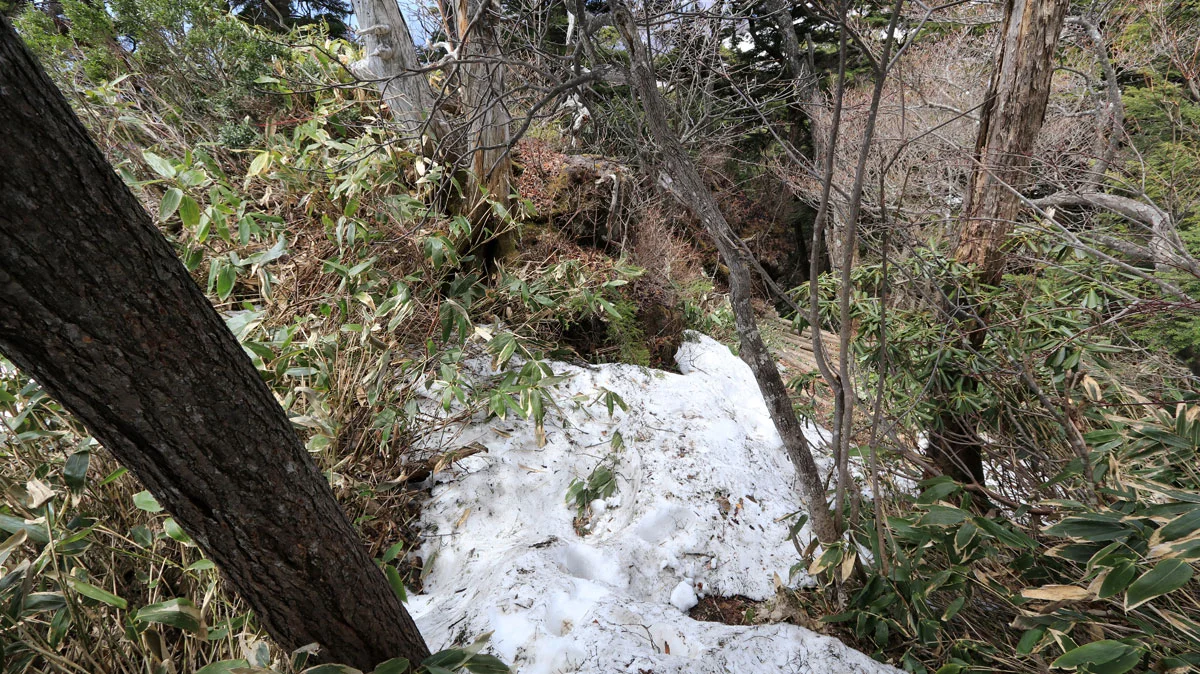 階段が雪で埋もれた登山道