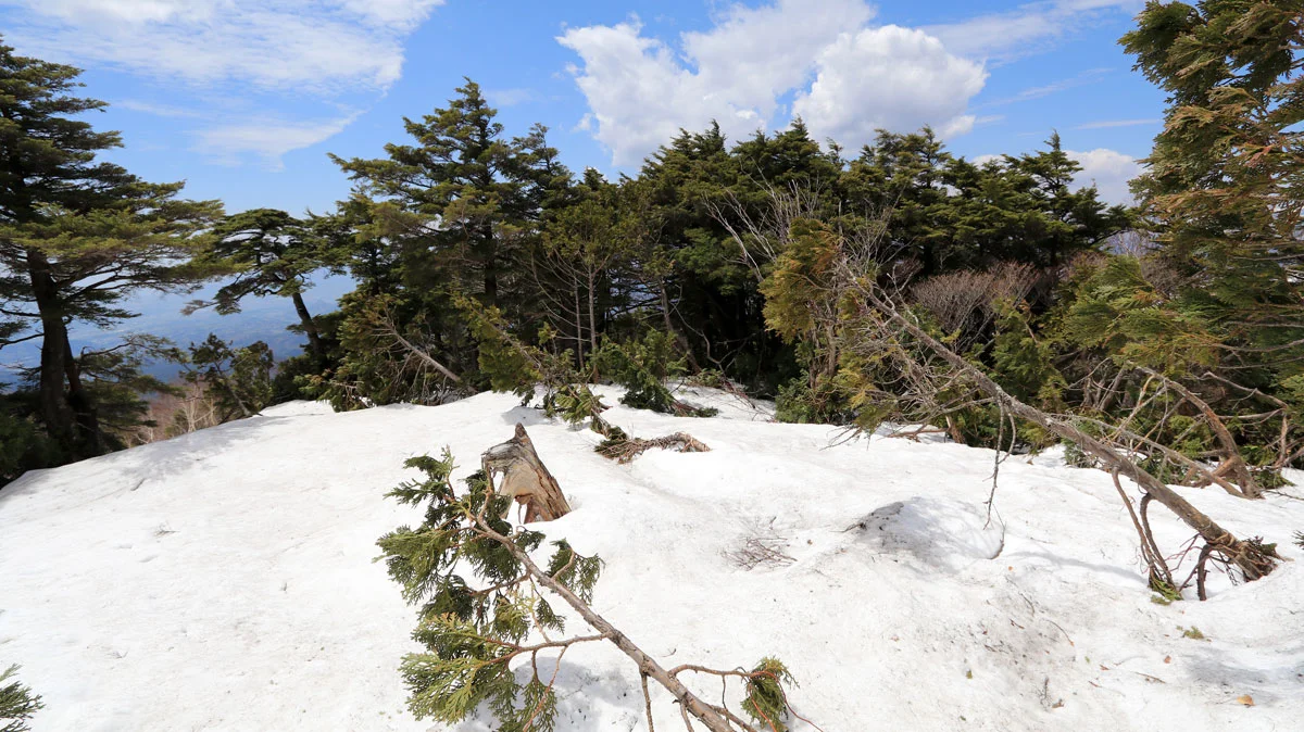 雪で登山道消失