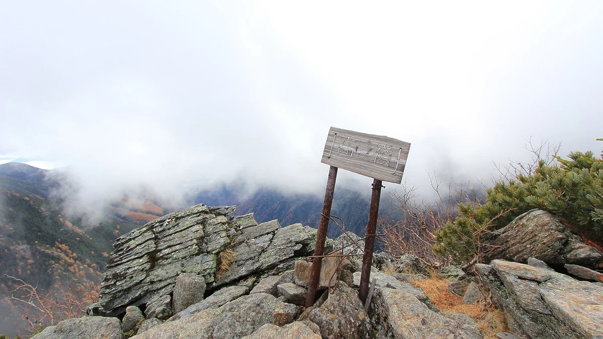高嶺の山頂