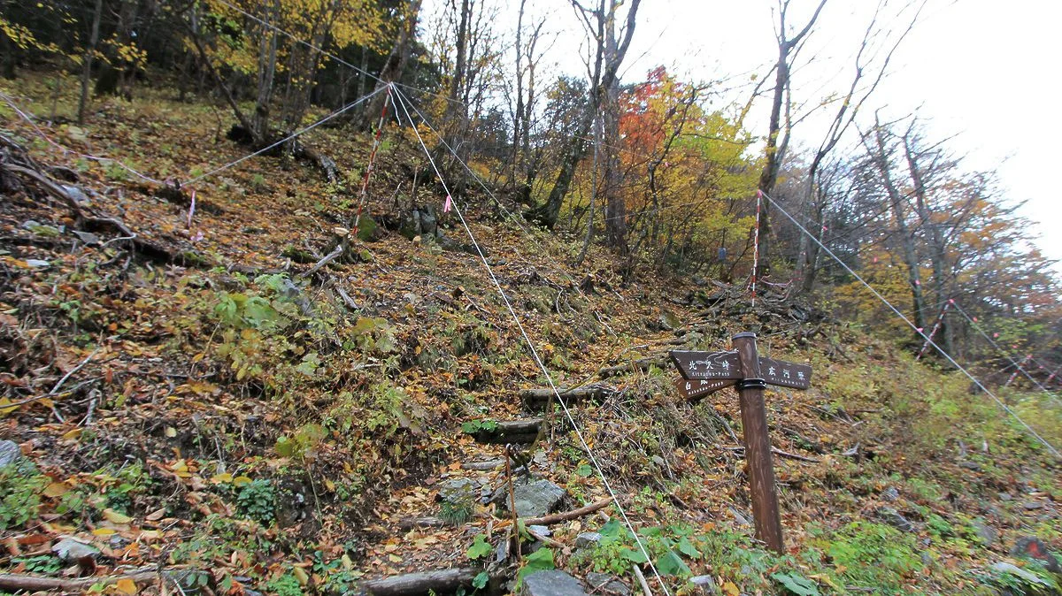 登山口「白鳳峠入口」