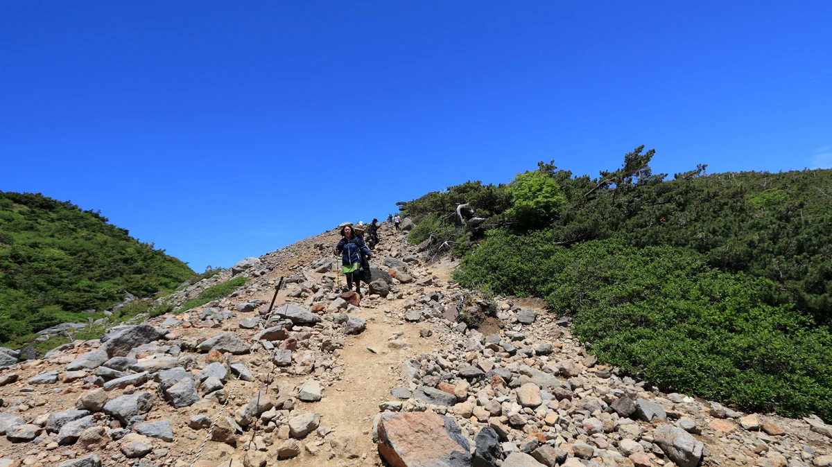 少し傾斜のある登山道