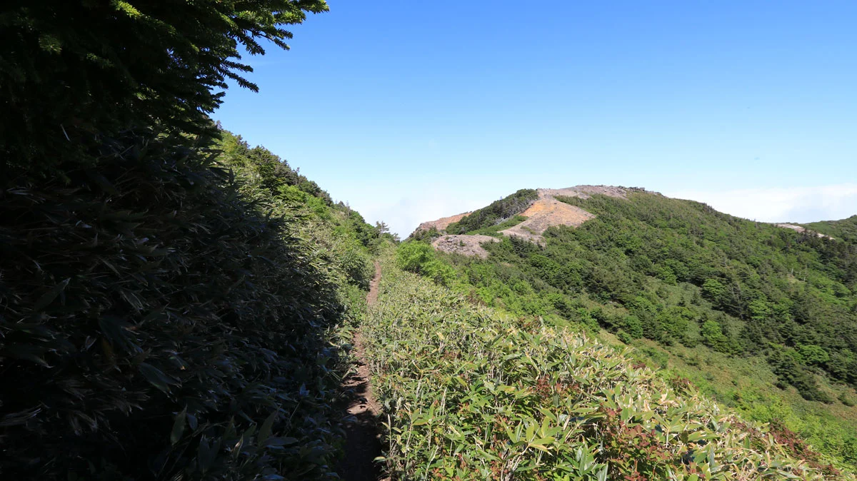 家形山の登山道