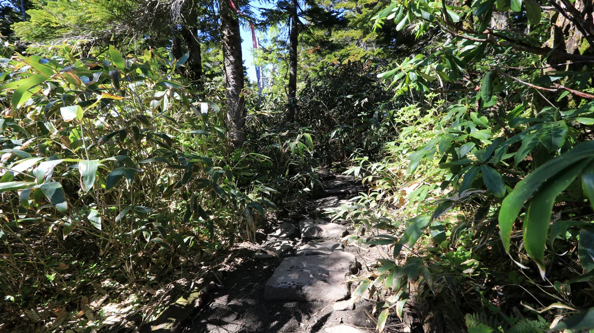 岩が敷かれた登山道