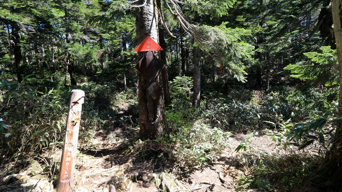 「三叉路」と書かれた標識