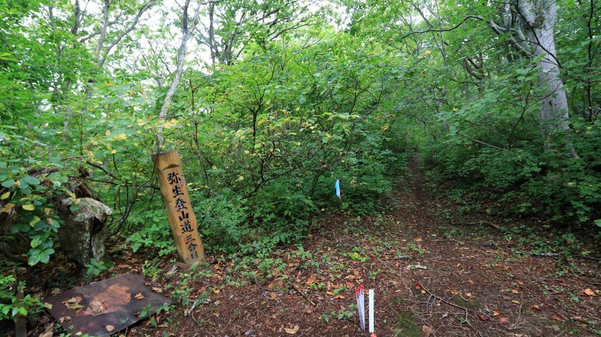 弥生登山道三合目